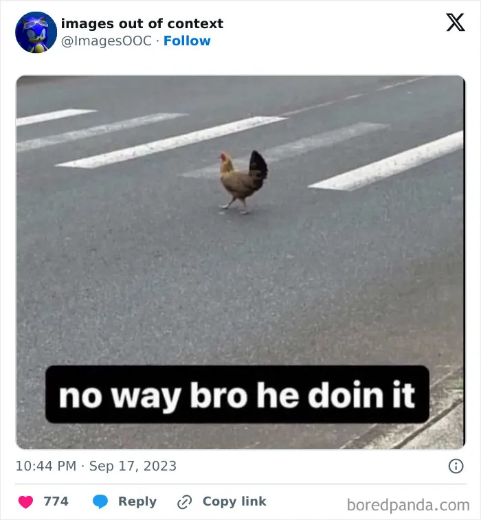 40 Of The Funniest Posts From “Images Out Of Context” Page