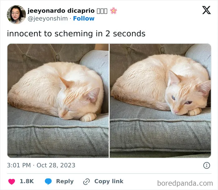 😇➡️😈