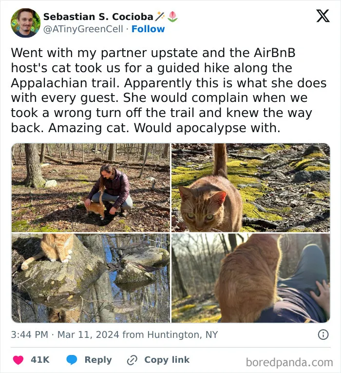 “Wait A Second, This Is Wholesome Content”: 50 Posts To Restore Your Faith In Humanity