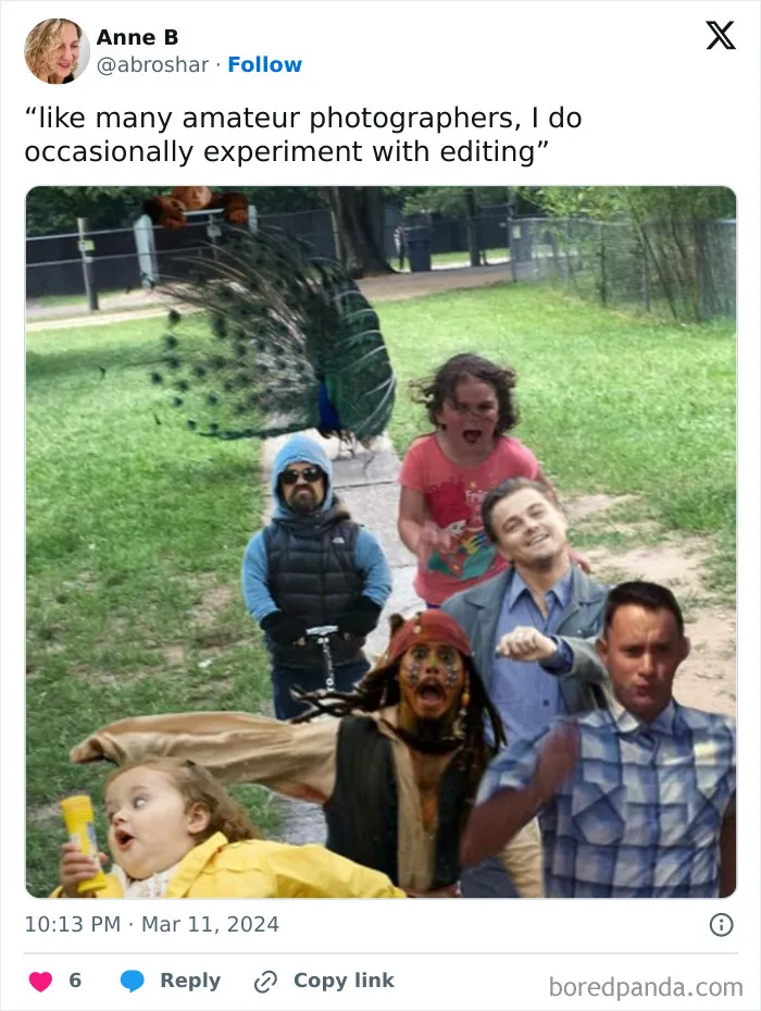 Run, Forrest!