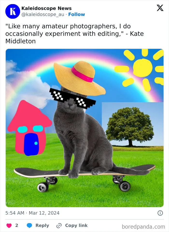 Just A Cat Posing Casually In A Pair Of Sunglasses