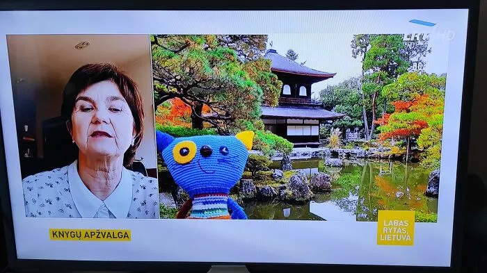 Cat On TV