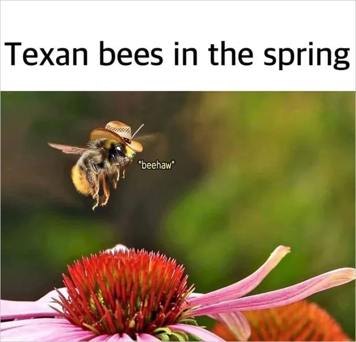 37 Funny Memes To Welcome Spring With All Its Joys And Flaws