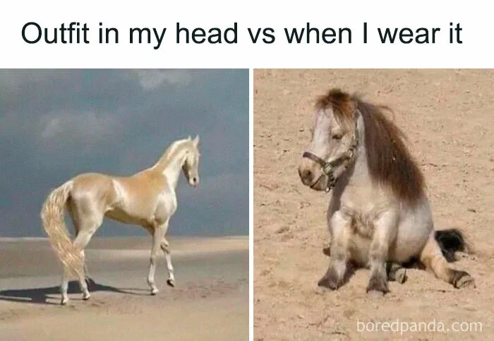 50 Hilarious Memes To Look At While You’re Supposed To Be Working (New Pics)