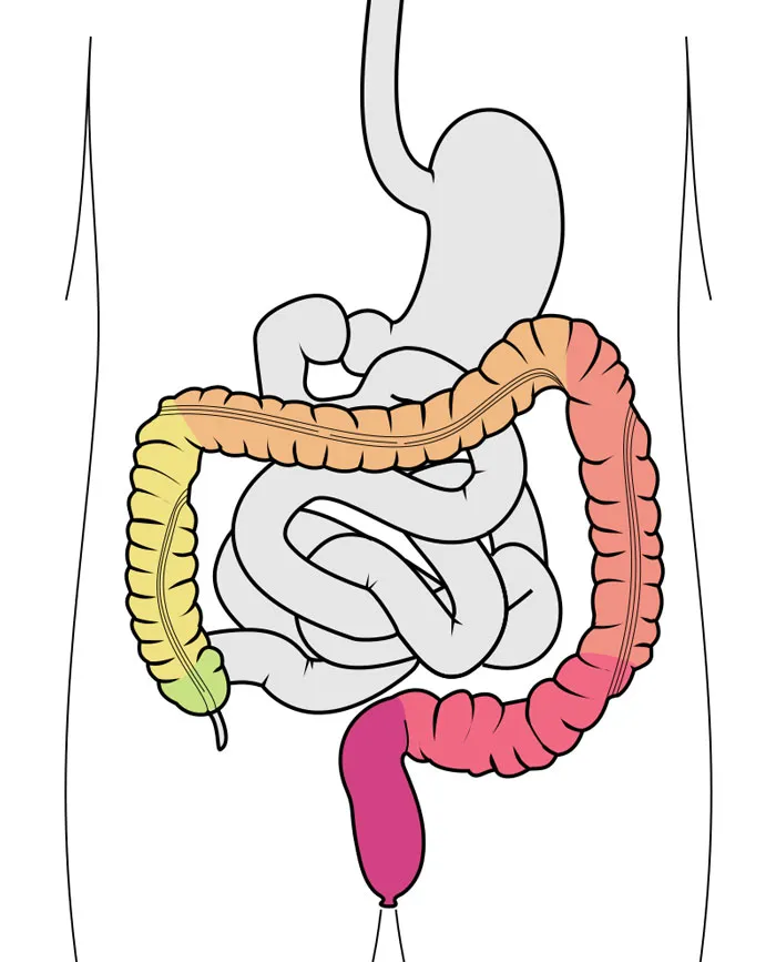 30 Cool But Pretty Disturbing Facts About The Human Body That Not Many People Know About