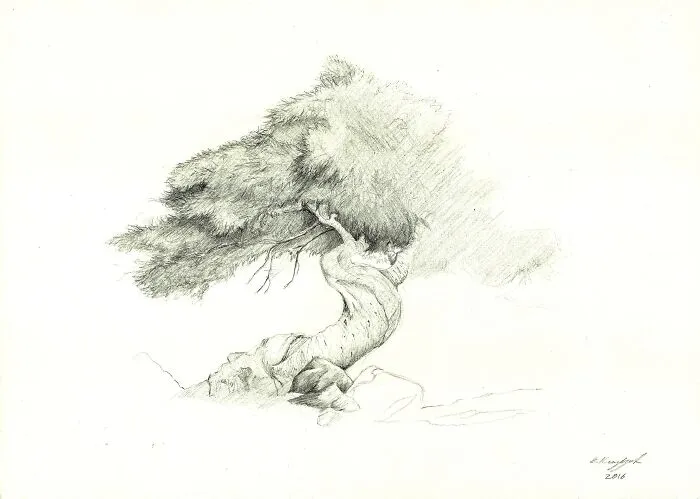 (Last One, I Swear). Vanishing Bonsai