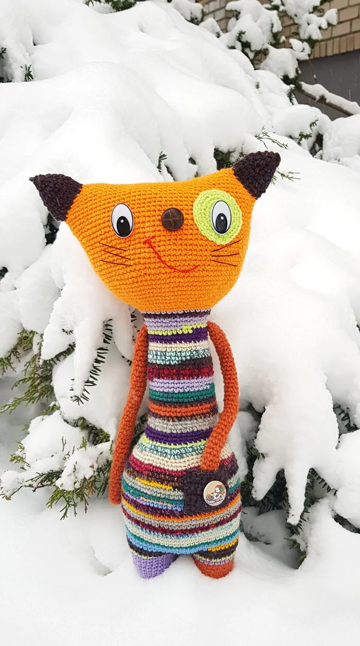Cat And Winter
