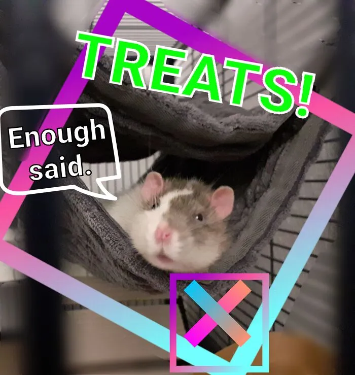 Because... Treats!