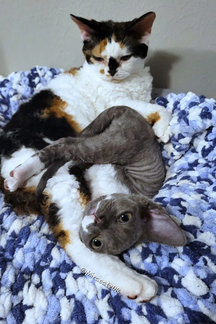 Magick Using Her Momma Nora's Foot As A Pillow