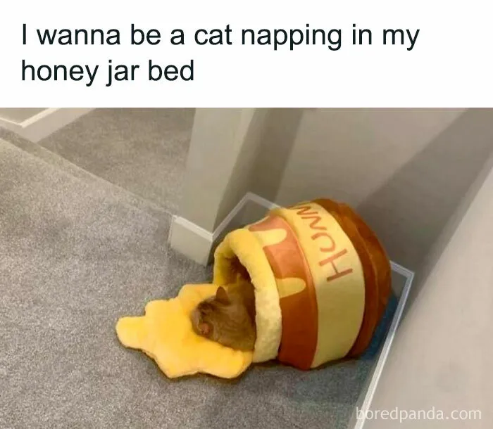 50 Hilarious Memes To Look At While You’re Supposed To Be Working (New Pics)