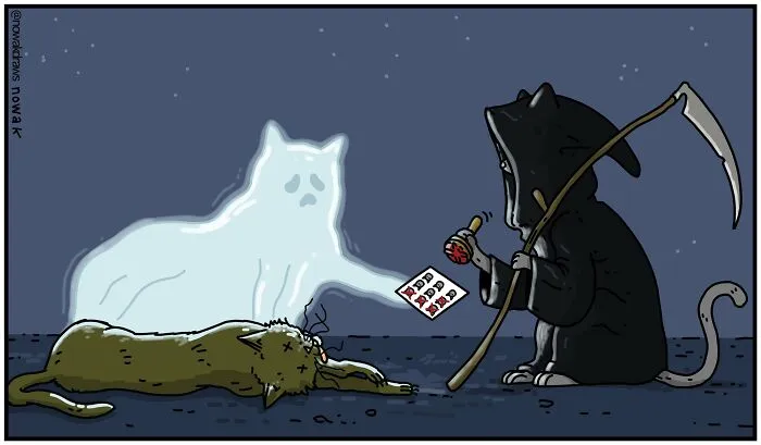 Artist With Peculiar Sense Of Humor Created 32 New Comics Full Of Absurdity