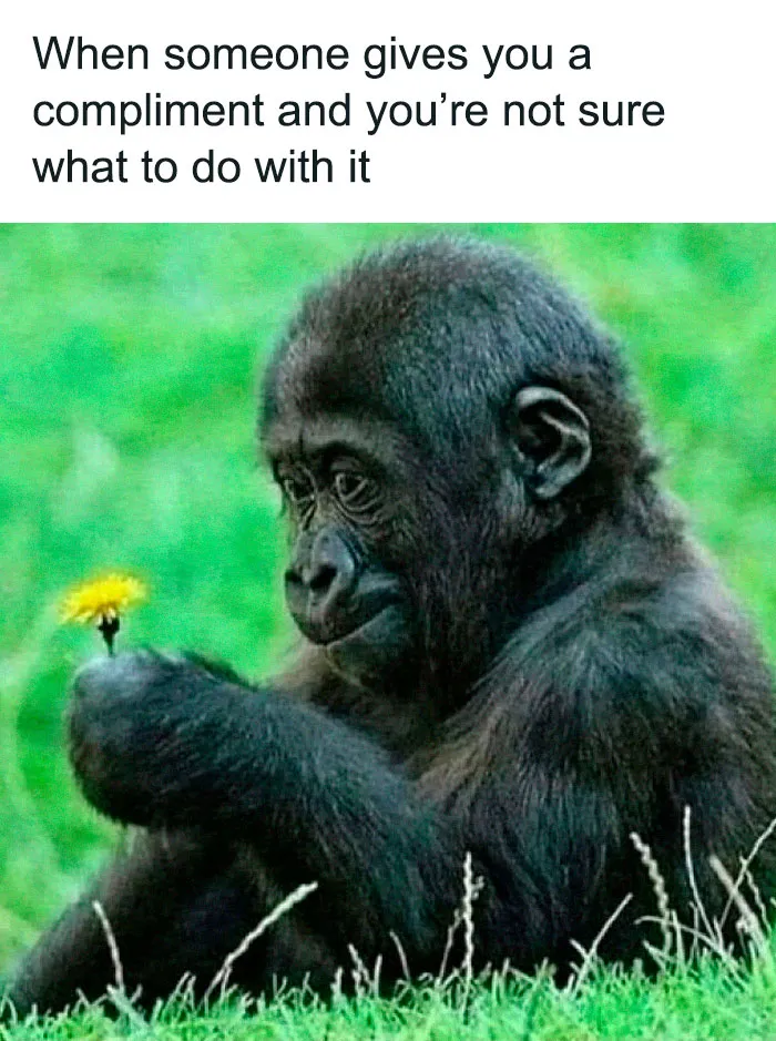 50 Hilarious Memes To Look At While You’re Supposed To Be Working (New Pics)