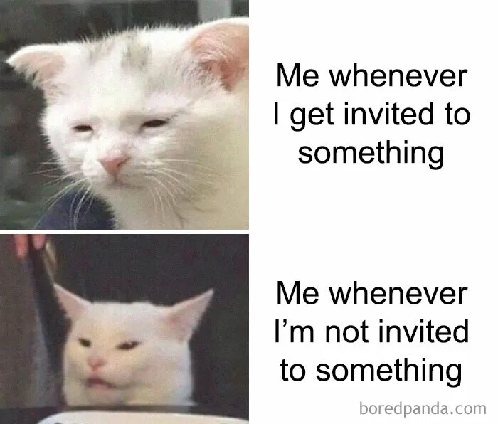 50 Introvert Memes For Anyone Who Loves Staying Home And Recharging Their Social Battery