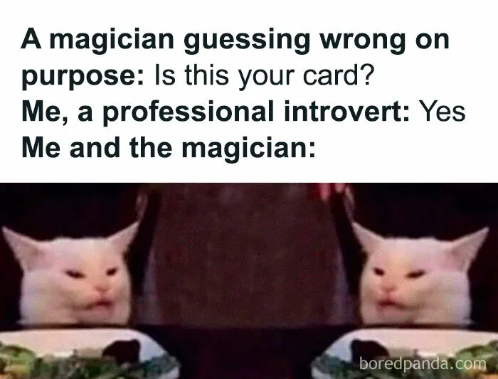 50 Introvert Memes For Anyone Who Loves Staying Home And Recharging Their Social Battery