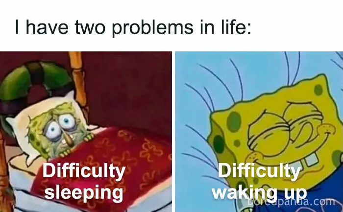 50 Hilarious Memes To Look At While You’re Supposed To Be Working (New Pics)