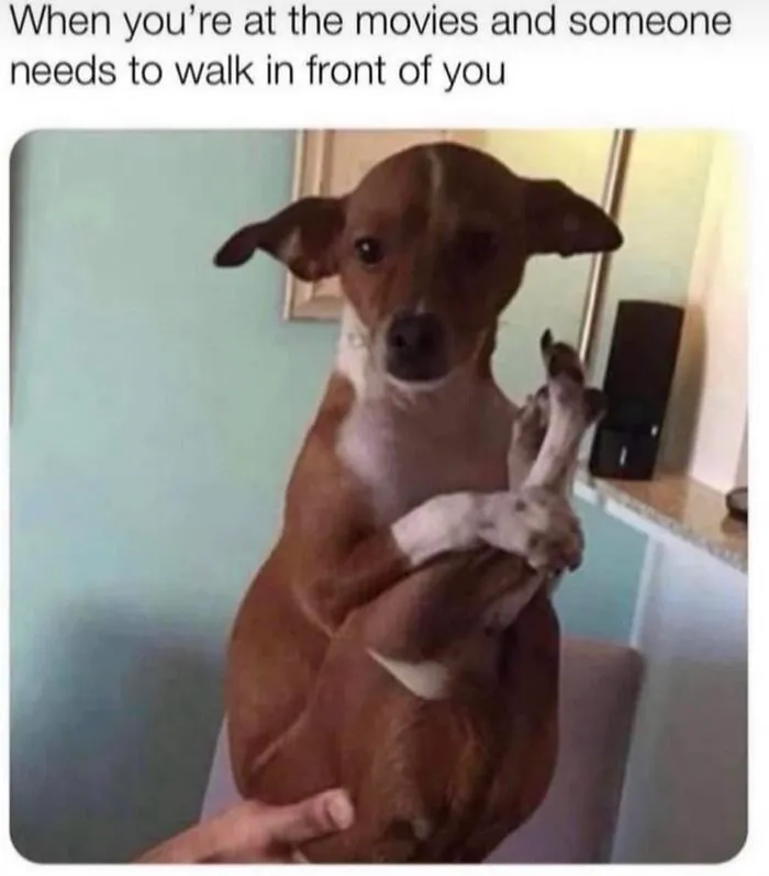 41 Memes For A Quick Break And A Good Giggle