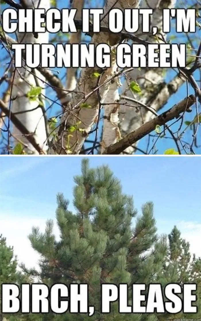 37 Funny Memes To Welcome Spring With All Its Joys And Flaws