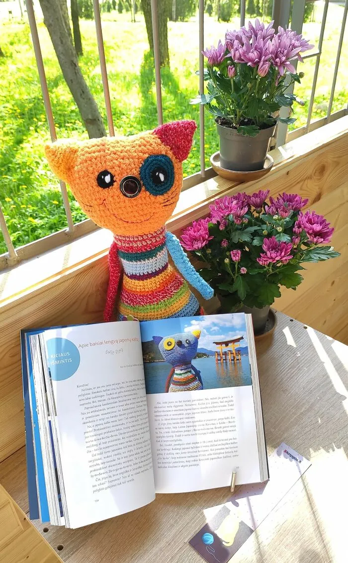 Cat In The Book