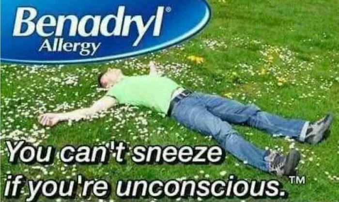 37 Funny Memes To Welcome Spring With All Its Joys And Flaws