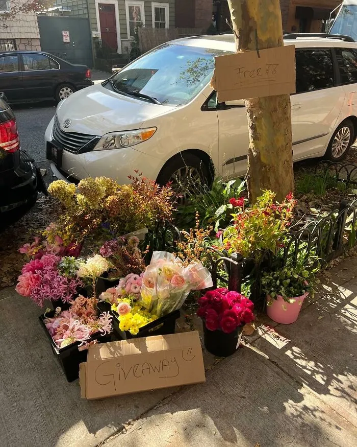 I Gasped. 73 Skillman Avenue Between Lorimer And Leonard These Are Out Now 