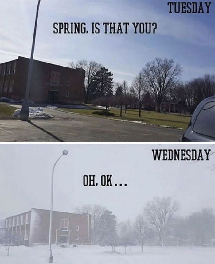 37 Funny Memes To Welcome Spring With All Its Joys And Flaws