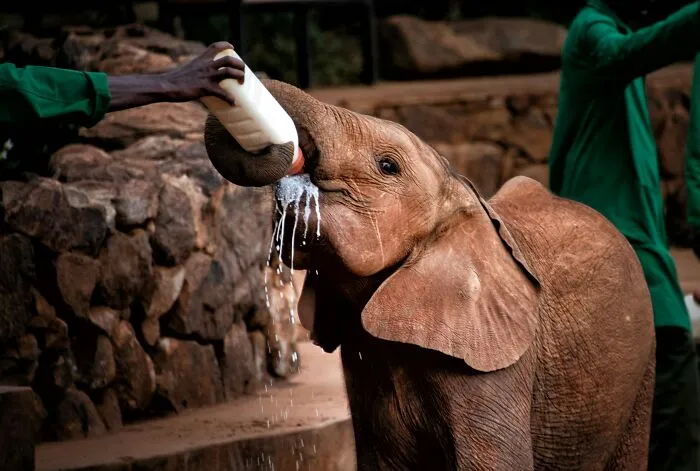 Someone Asks Zookeepers "What Are Zoo Secrets That People Wouldn’t Believe?", Gets 21 Replies