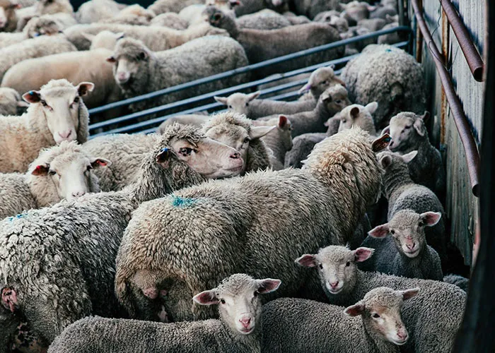 30 Things We're Used To Now That Will Lose Public Approval In 25 Years, According To This Thread