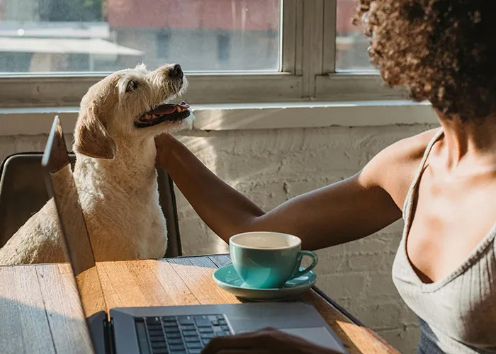 29 Women Who Live Alone Share What They Do To Be Safe