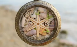 I Made Jewellery Using Shells From An Enchanting Beach