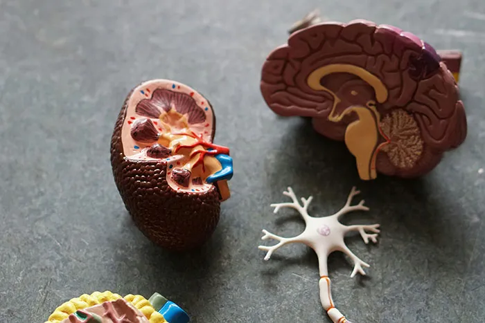 40 People Share The Weirdest Things About Their Bodies