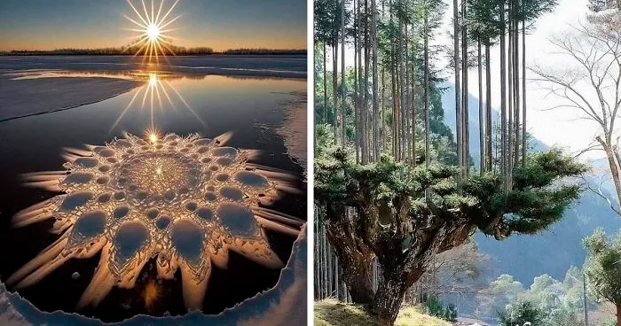 This Group Is Dedicated To Everything Weird, Bizarre, And Beautiful, Here Are 50 Of The Best Pics