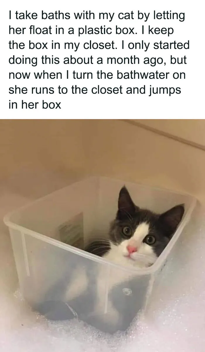 “Wait A Second, This Is Wholesome Content”: 50 Posts To Restore Your Faith In Humanity