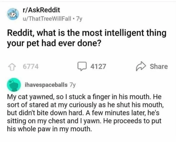 “Wait A Second, This Is Wholesome Content”: 50 Posts To Restore Your Faith In Humanity