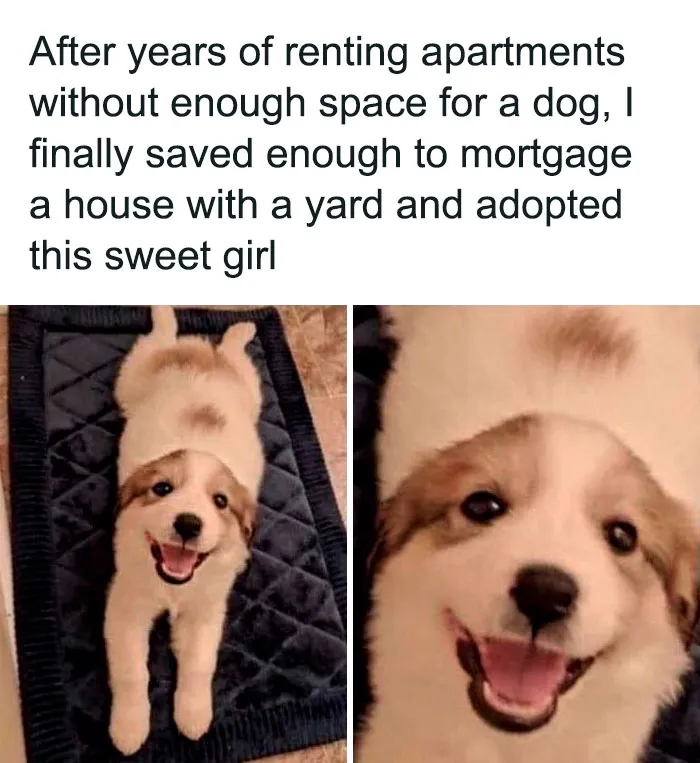 “Wait A Second, This Is Wholesome Content”: 50 Posts To Restore Your Faith In Humanity