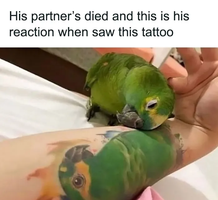 “Wait A Second, This Is Wholesome Content”: 50 Posts To Restore Your Faith In Humanity