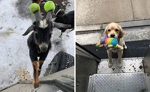 If You’re Feeling Down, Here Are 50 Wholesome Posts To Bring Some Sunshine To Your Day (New Pics)