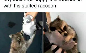 50 ‘Why Is My Brain Like This’ Memes That Almost Seem Like Personal Attacks