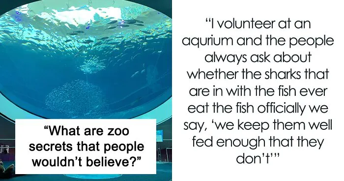 Someone Asks Zookeepers "What Are Zoo Secrets That People Wouldn’t Believe?", Gets 21 Replies