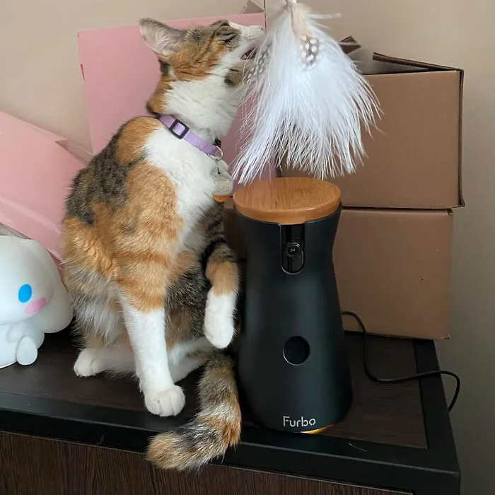 Never Miss A Purr: <span Style="Font:inherit;color:#d74b1f;"> Furbo 360° Rotating Camera And Treat Dispenser </Span> - Stay Connected To Your Furry Friend Anytime, Anywhere