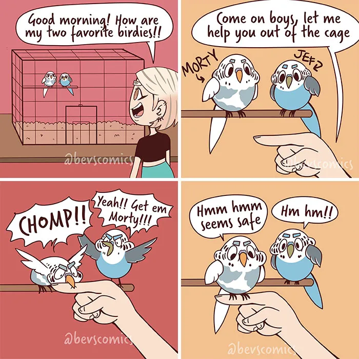 Artist captures life's quirks: a relatable comic showing two pet parakeets, Morty and Jeff, fighting outside their cage.
