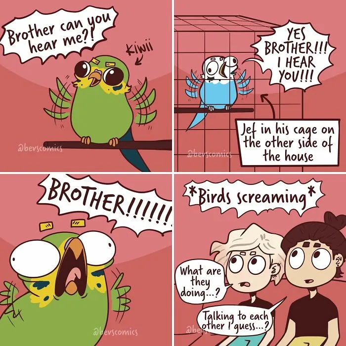 Relatable comics by an artist featuring life's quirks, specifically two birds comically screaming across a house.