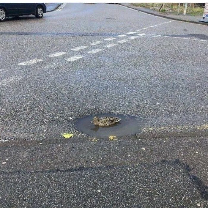 46 Imágenes malditas que van más allá de lo confuso