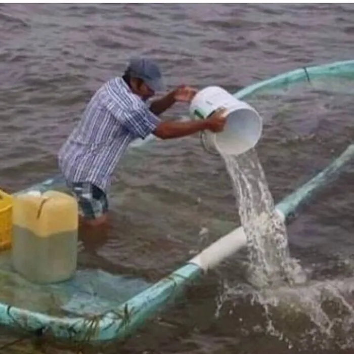 46 Imágenes malditas que van más allá de lo confuso