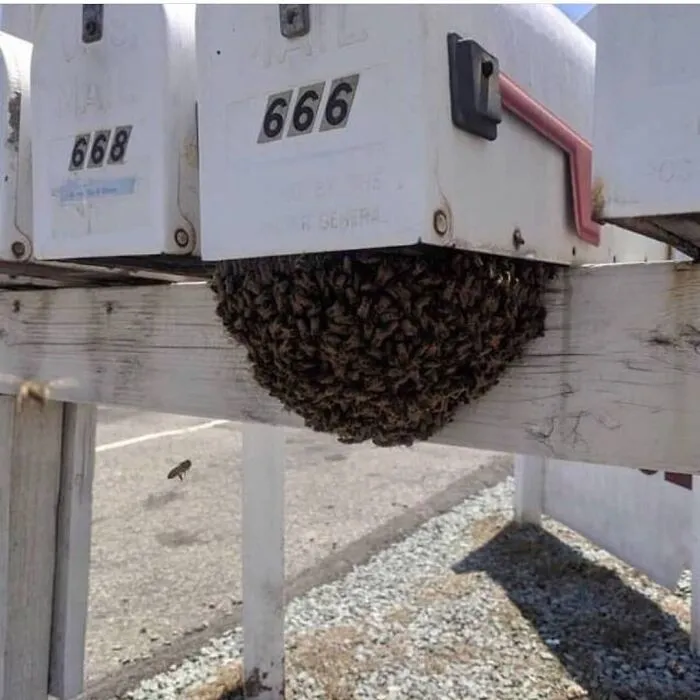 50 Cursed Images That Get Weirder The More You Scroll, As Shared On This Instagram Account