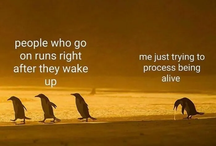 50 Funny Memes Those Who Are Barely Functioning Will Probably Relate To (New Pics)
