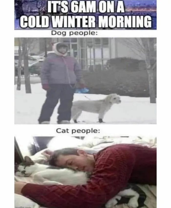 50 Of The Funniest And Most Relatable Cat Memes Shared By This IG Page