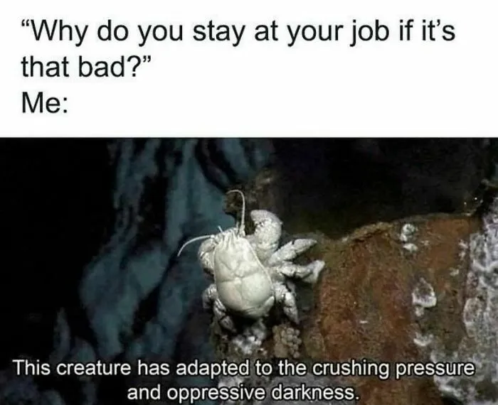 50 Funny Memes Those Who Are Barely Functioning Will Probably Relate To (New Pics)