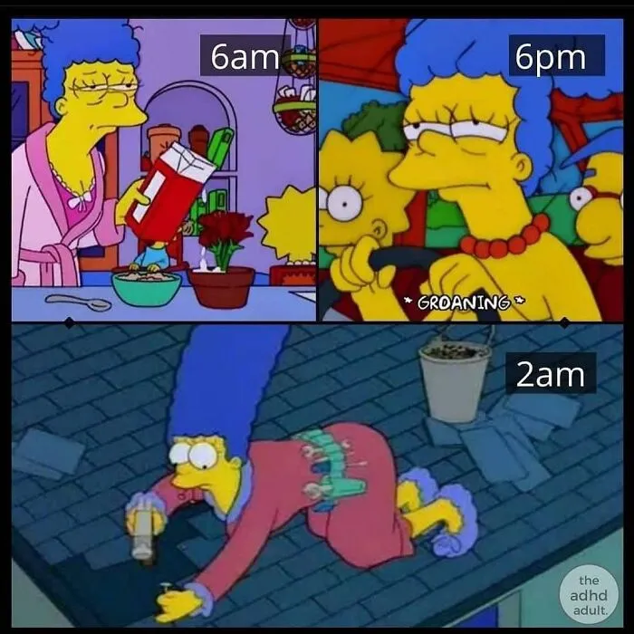 20 Divertidos memes que harán reír a todos los introvertidos (nuevas imágenes)