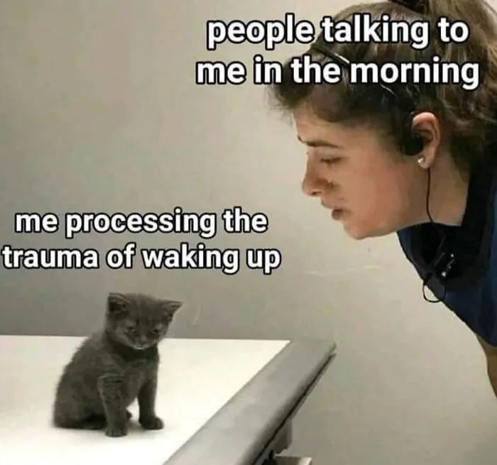 50 Introvert Memes For Anyone Who Loves Staying Home And Recharging Their Social Battery