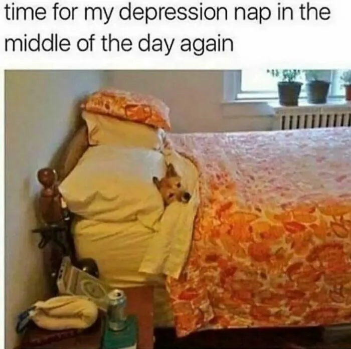50 Introvert Memes For Anyone Who Loves Staying Home And Recharging Their Social Battery